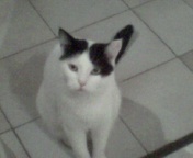 sam schaut mich an